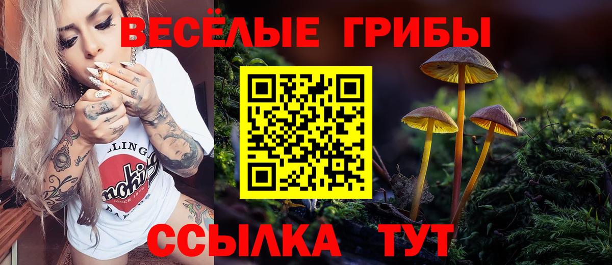 Галлюциногенные грибы Psilocybe Всеволожск