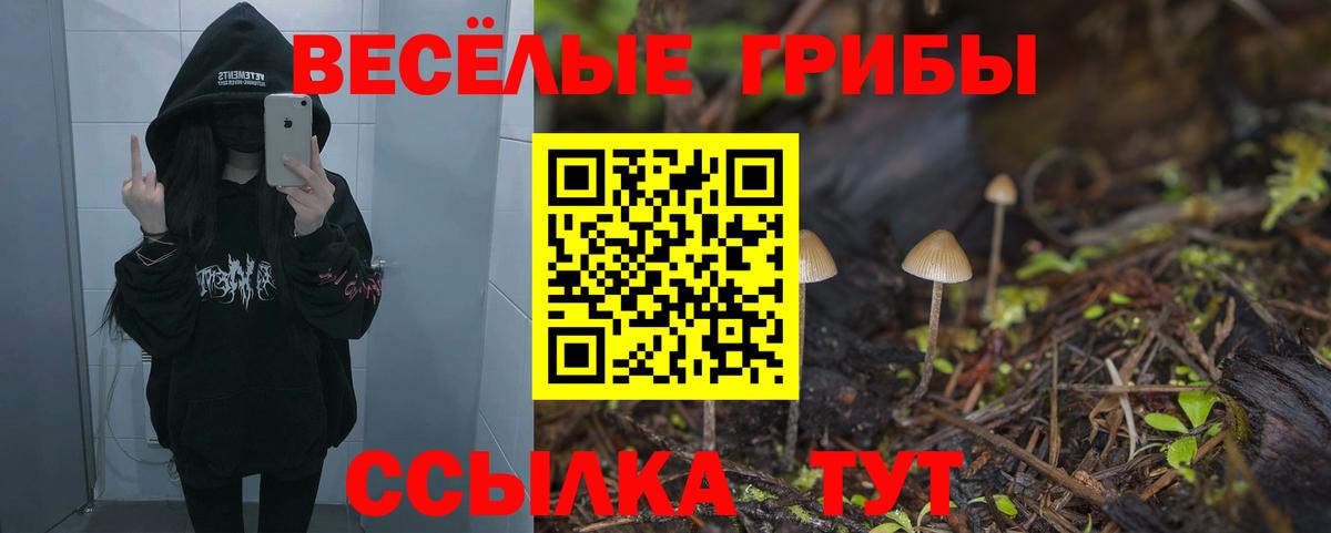 Псилоцибиновые грибы мухоморы  Вход с VPN  Всеволожск 