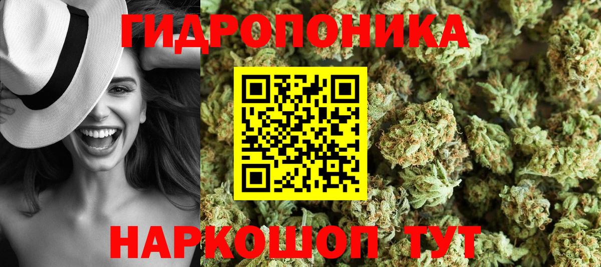 Каннабис ГИДРОПОН  Шишки марихуана марихуана  Вход с VPN  Всеволожск 